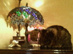 200701311408000.jpg