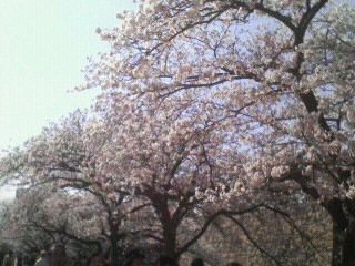 200704031500000.jpg