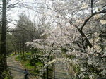 2009040716280000.jpg