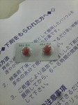 2009060511190000.jpg