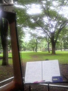 2009070314410000.jpg