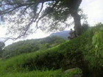 2009081714150000.jpg