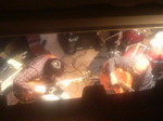 2010020421440000.jpg