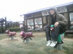 2010030713290000.jpg