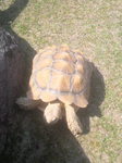 2010040314560000.jpg