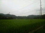 2010081413500001.jpg