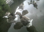 2010100915200000.jpg